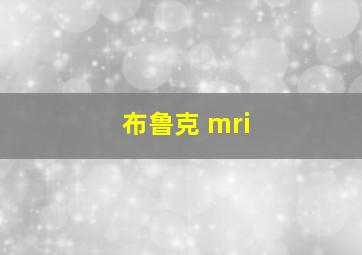 布鲁克 mri